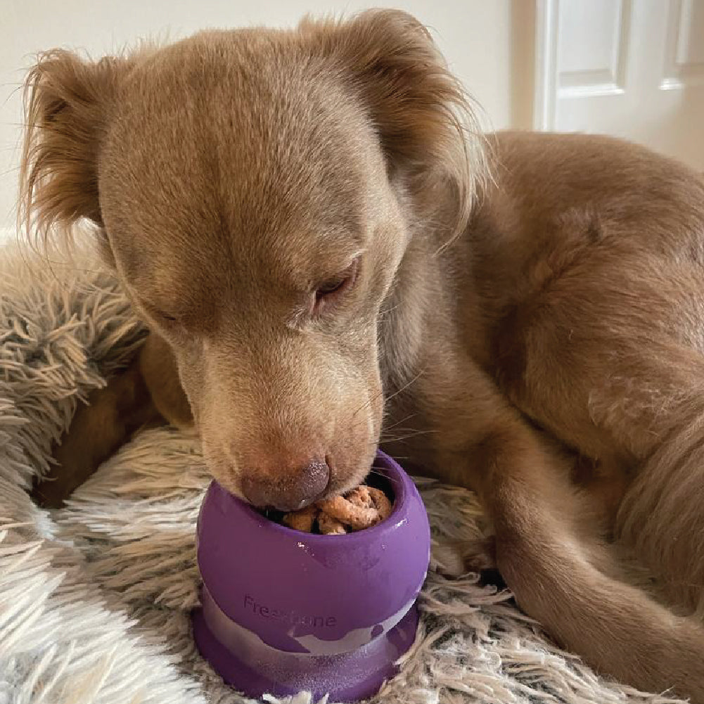 Bone Refills - Liver (4 Pack)