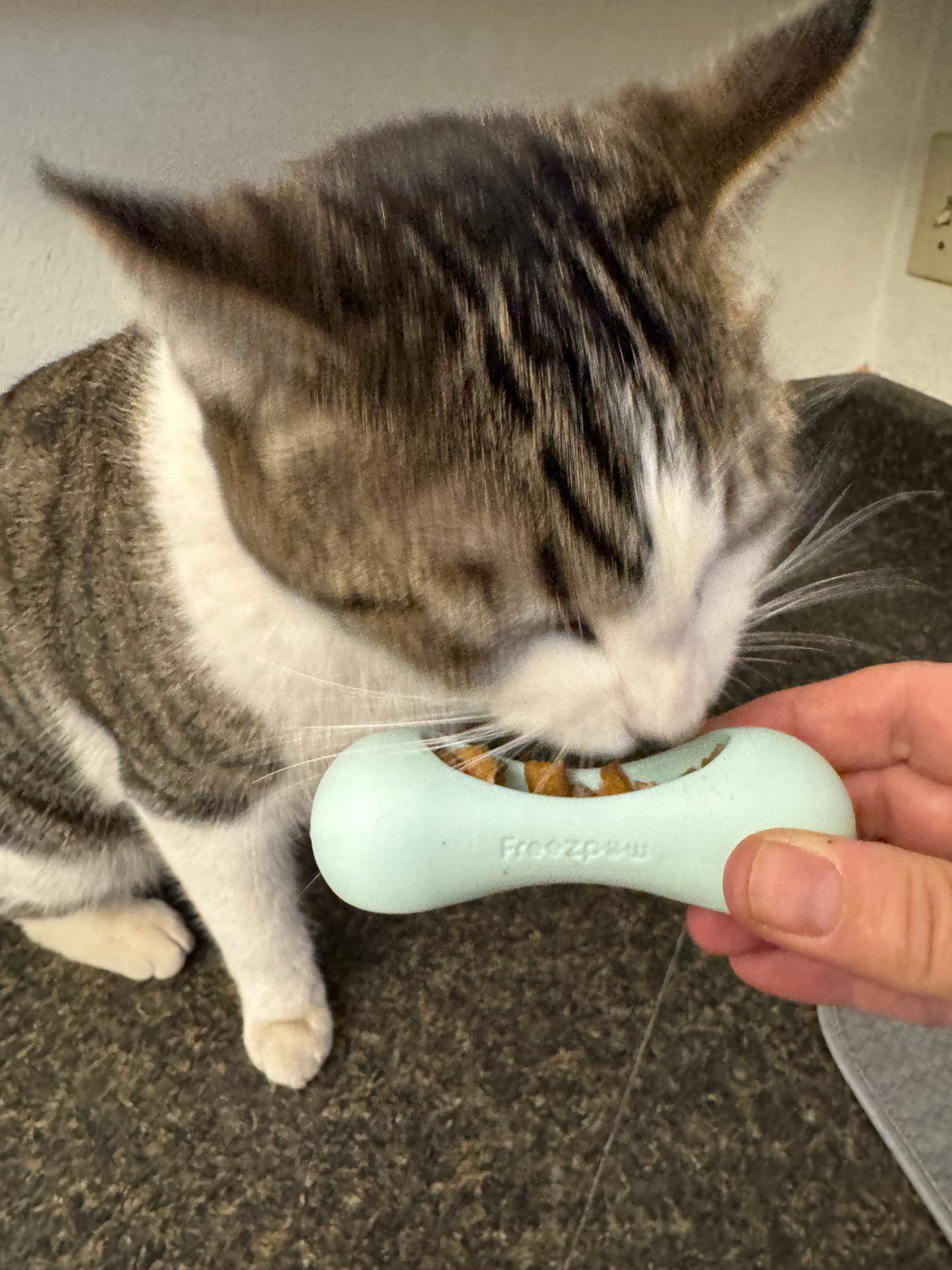 FreezWhisk Cat Calm Feed Bowl - White