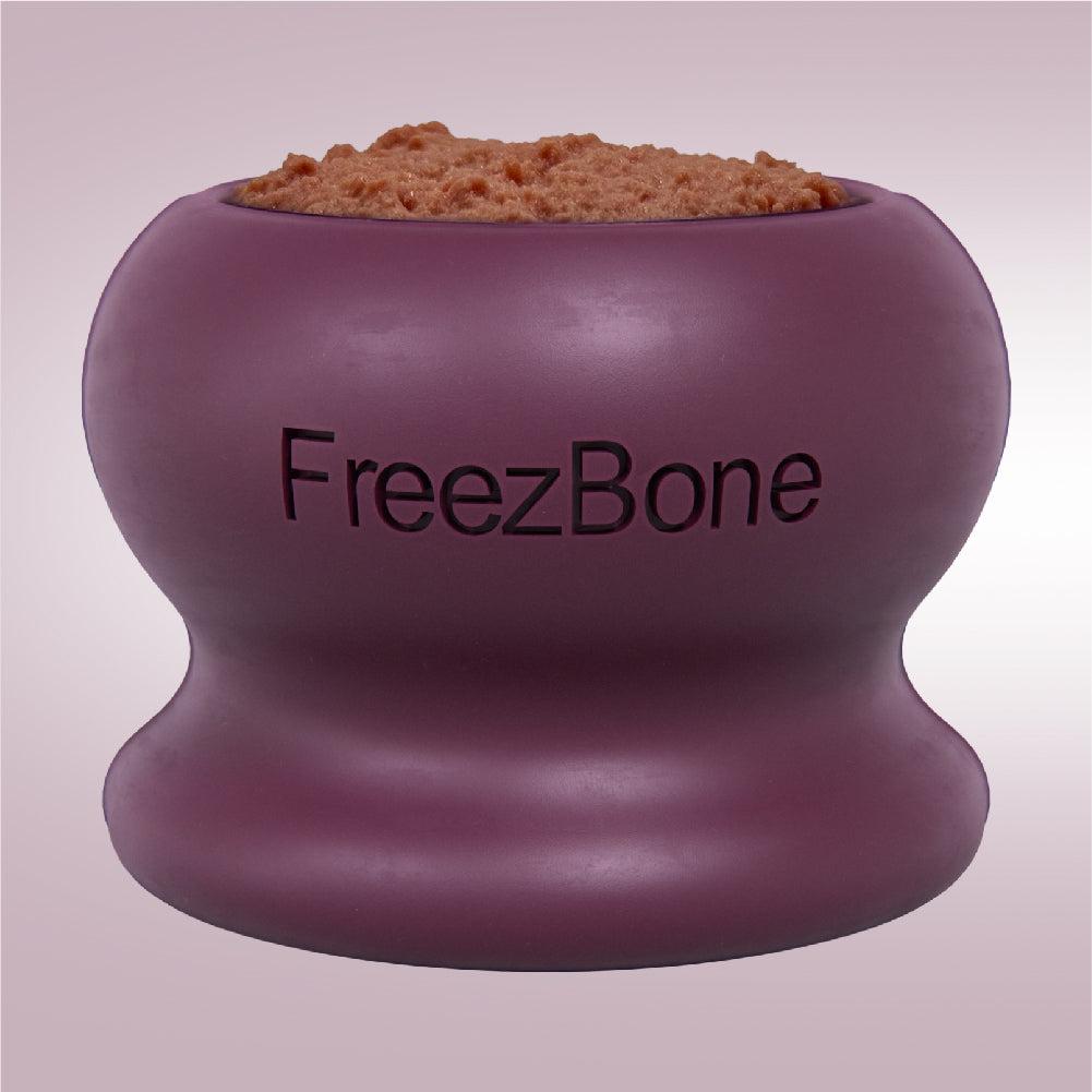 Freezball Medium - Purple