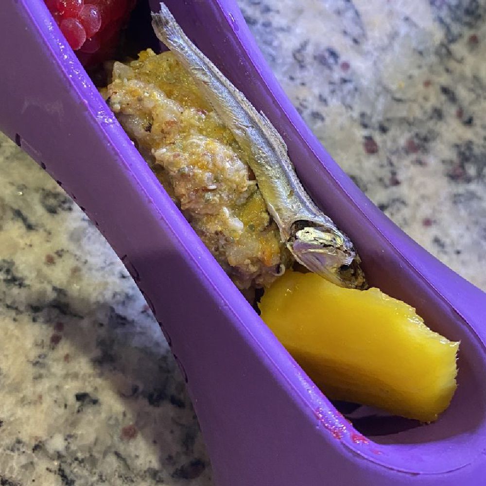 Freezstick Small - Purple