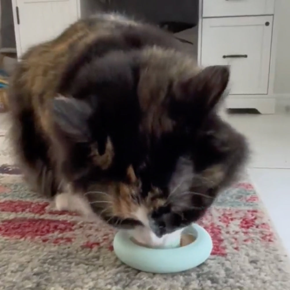 Freezring Cat Zen Relief Toy - Aqua