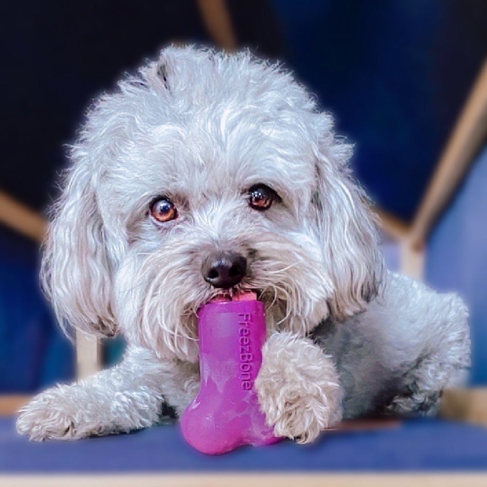Bone Refills - Mix Flavors (4 Pack)