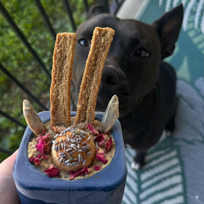 Freezbone Veggie Stick Bundle (4/pack: Carrot - Pumpkin - Apple mix)