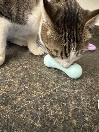 FreezWhisk Cat Calm Feed Bowl - Aqua