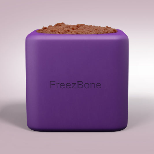 Freezbox - Purple