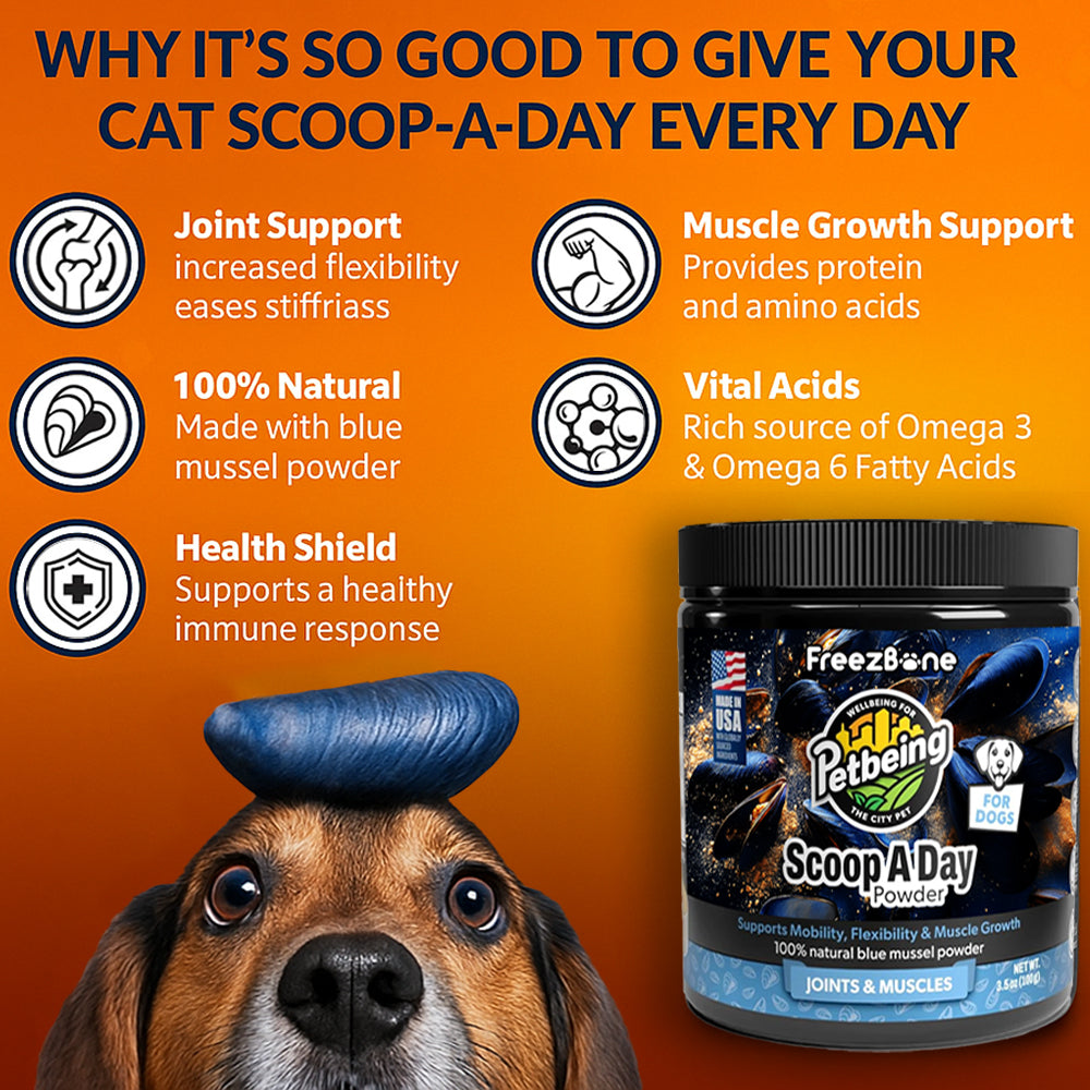 Scoop-A-Day Joint & Mobility Powder