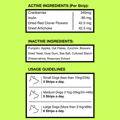 Freezbone Veggie Stick Bundle (4/pack: Carrot - Pumpkin - Apple mix)