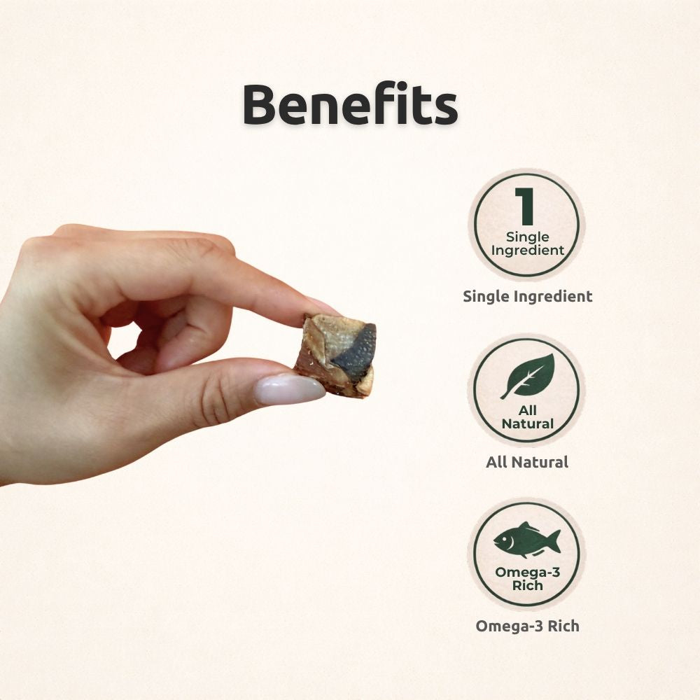 Freezbone Salmon Skin Cubes