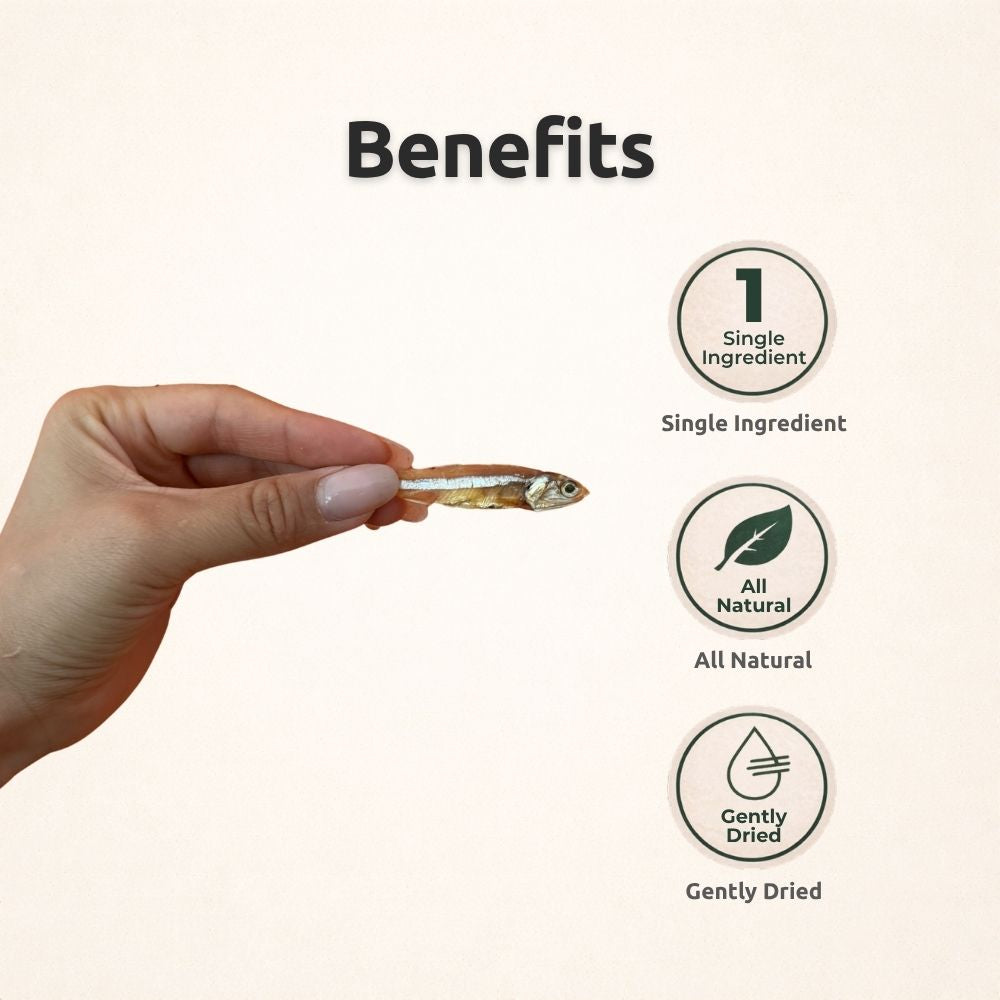 Freezbone Sprats